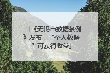 《无锡市数据条例》发布，“个人数据”可获得收益