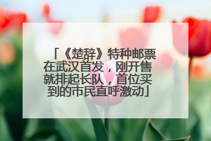 《楚辞》特种邮票在武汉首发，刚开售就排起长队，首位买到的市民直呼激动