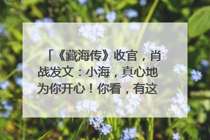 《藏海传》收官，肖战发文：小海，真心地为你开心！你看，有这么多人懂你！