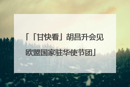 「甘快看」胡昌升会见欧盟国家驻华使节团