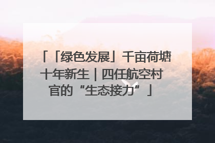 「绿色发展」千亩荷塘 十年新生｜四任航空村官的“生态接力”