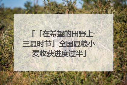 「在希望的田野上·三夏时节」全国夏粮小麦收获进度过半