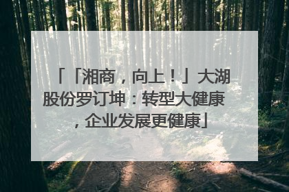 「湘商，向上！」大湖股份罗订坤：转型大健康，企业发展更健康