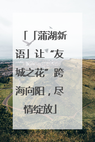 「蒲湖新语」让“友城之花”跨海向阳，尽情绽放