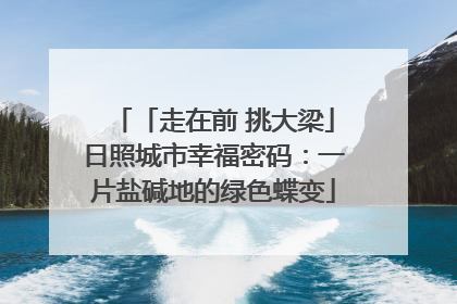 「走在前 挑大梁」日照城市幸福密码：一片盐碱地的绿色蝶变