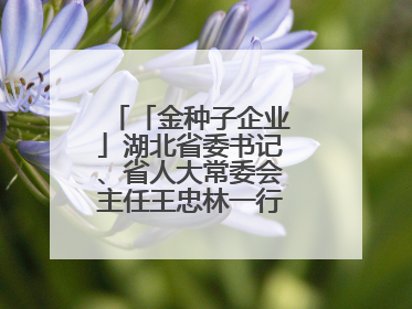 「金种子企业」湖北省委书记、省人大常委会主任王忠林一行到依瑞德调研