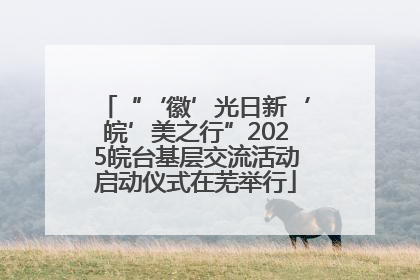 “‘徽’光日新‘皖’美之行”2025皖台基层交流活动启动仪式在芜举行