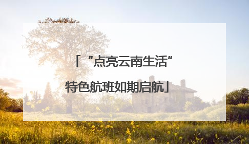 “点亮云南生活”特色航班如期启航