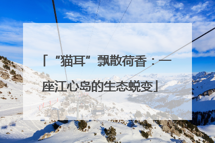 “猫耳”飘散荷香：一座江心岛的生态蜕变
