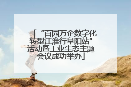 “百园万企数字化转型江淮行阜阳站”活动暨工业生态主题会议成功举办