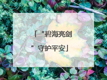“碧海亮剑”守护平安