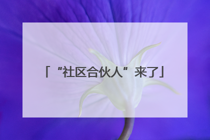 “社区合伙人”来了