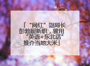 “网红”副局长彭勃履新职，曾用“英语+东北话”推介当地大米