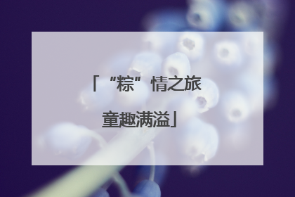 “粽”情之旅 童趣满溢