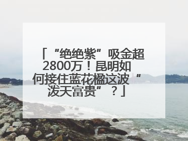 “绝绝紫”吸金超2800万！昆明如何接住蓝花楹这波“泼天富贵”？