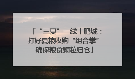 “三夏”一线丨肥城：打好夏粮收购“组合拳” 确保粮食颗粒归仓