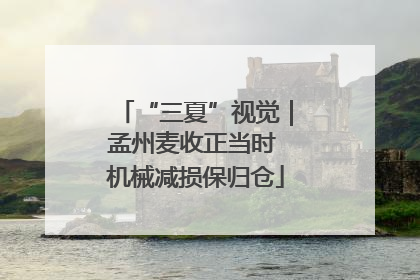 “三夏”视觉｜孟州麦收正当时 机械减损保归仓