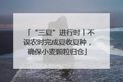 “三夏”进行时丨不误农时完成夏收夏种，确保小麦颗粒归仓