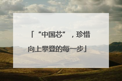 “中国芯”，珍惜向上攀登的每一步