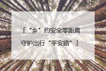 “乡”约安全零距离 守护出行“平安路”