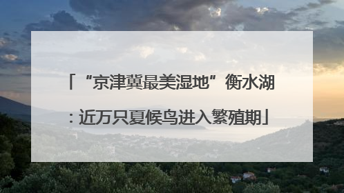 “京津冀最美湿地”衡水湖：近万只夏候鸟进入繁殖期
