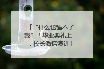 “什么也锤不了我”！毕业典礼上，校长激情演讲