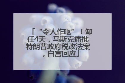 “令人作呕”！卸任4天，马斯克痛批特朗普政府税改法案，白宫回应