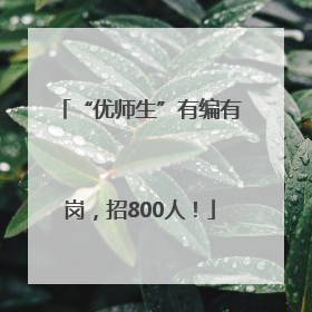 “优师生”有编有岗，招800人！