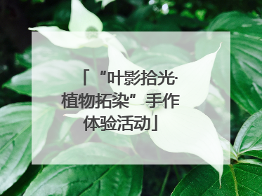 “叶影拾光·植物拓染”手作体验活动