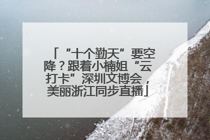 “十个勤天”要空降？跟着小楠姐“云打卡”深圳文博会，美丽浙江同步直播