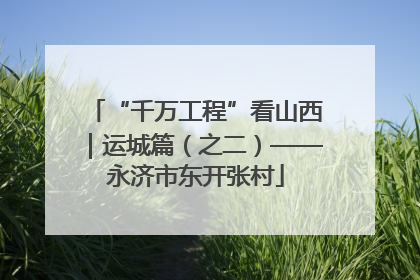 “千万工程”看山西｜运城篇（之二）——永济市东开张村