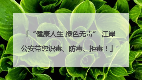 “健康人生 绿色无毒” 江岸公安带您识毒、防毒、拒毒！