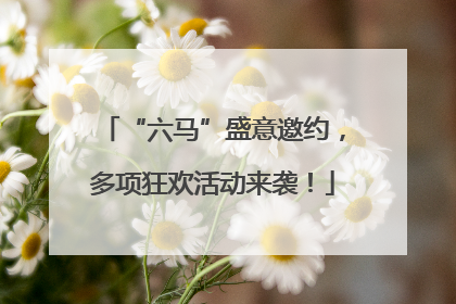 “六马”盛意邀约，多项狂欢活动来袭！