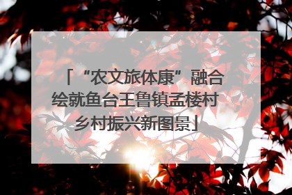 “农文旅体康”融合绘就鱼台王鲁镇孟楼村乡村振兴新图景