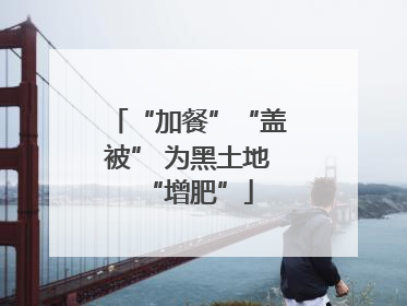 “加餐”“盖被” 为黑土地“增肥”