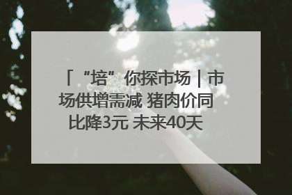 “培”你探市场｜市场供增需减 猪肉价同比降3元 未来40天便宜猪肉敞开吃