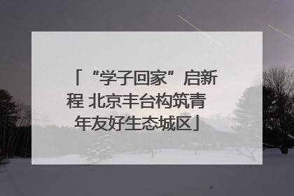 “学子回家”启新程 北京丰台构筑青年友好生态城区