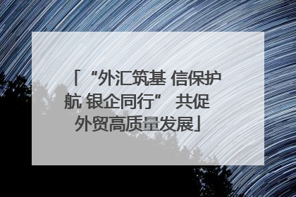 “外汇筑基 信保护航 银企同行” 共促外贸高质量发展