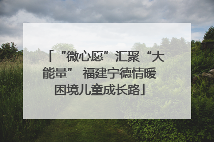 “微心愿”汇聚“大能量” 福建宁德情暖困境儿童成长路