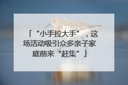 “小手拉大手”，这场活动吸引众多亲子家庭前来“赶集”