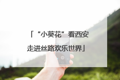 “小葵花”看西安走进丝路欢乐世界