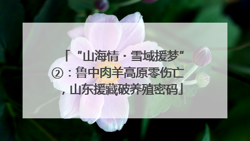 “山海情・雪域援梦”②：鲁中肉羊高原零伤亡，山东援藏破养殖密码