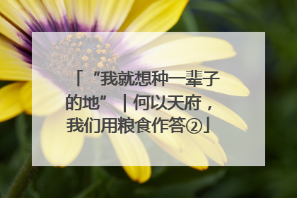 “我就想种一辈子的地”｜何以天府，我们用粮食作答②
