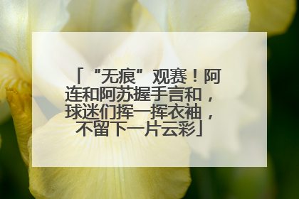 “无痕”观赛！阿连和阿苏握手言和，球迷们挥一挥衣袖，不留下一片云彩