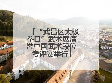“武昌区太极拳日”武术展演暨中国武术段位考评赛举行