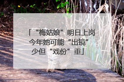 “梅姑娘”明日上岗 今年她可能“出镜”少但“戏份”重
