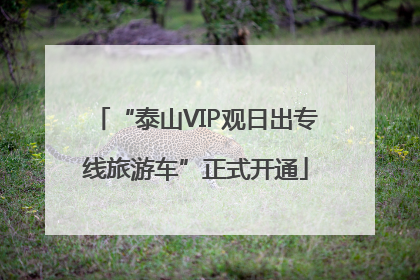“泰山VIP观日出专线旅游车”正式开通