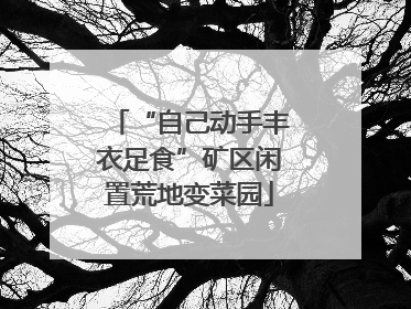 “自己动手丰衣足食”矿区闲置荒地变菜园