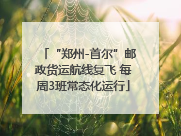 “郑州-首尔”邮政货运航线复飞 每周3班常态化运行