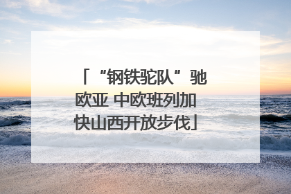 “钢铁驼队”驰欧亚 中欧班列加快山西开放步伐
